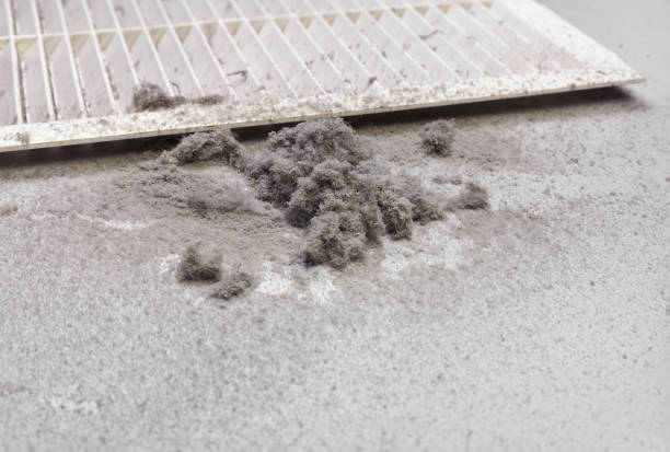 Best Air Quality Test  in Mendon, IL