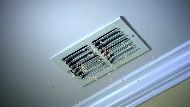 Best Residential Air Duct Cleaning  in Mendon, IL