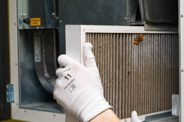 Best Affordable Duct Cleaning Services  in Mendon, IL