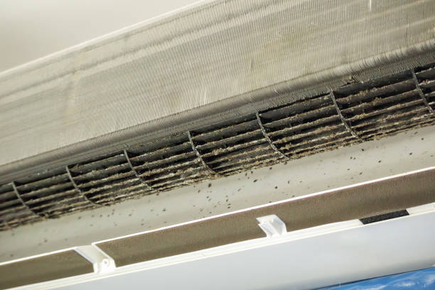 Best Best Air Duct Cleaning Near Me  in Mendon, IL
